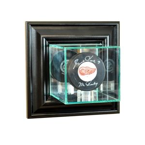 BNWT puck/ball display case